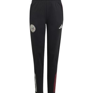 adidas Performance Træningsbukser - AJAX TR PNT Y - Sort